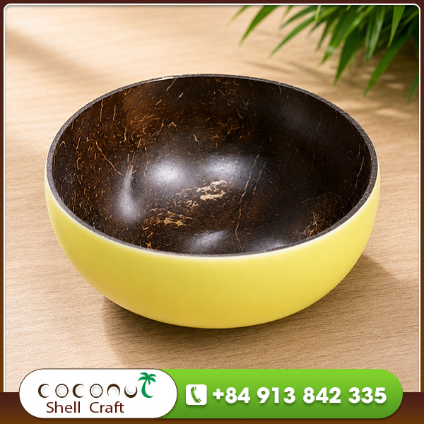 Lacquered coconut shell bowl SM008